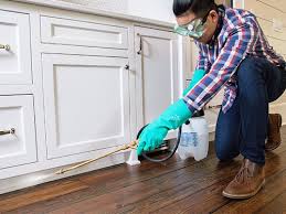 Best Pest Exclusion Services  in Cadott, WI